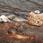 Shu Lea Cheang, "KI$$ KI$$", Ausstellungsansicht/ exhibition view Ludwig Forum Aachen, 27.11.2025–15.03.2026, Foto/ photo: Mareike Tocha.